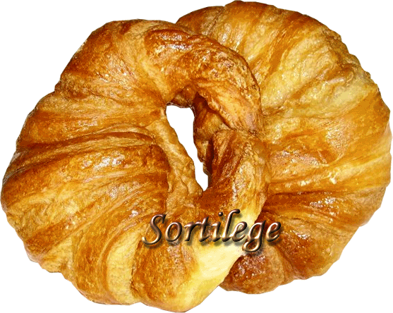bcroissantssrecor.gif picture by sortilege_dj_2008