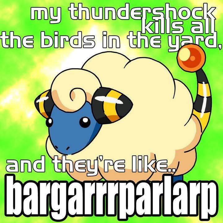 Mareep.jpg