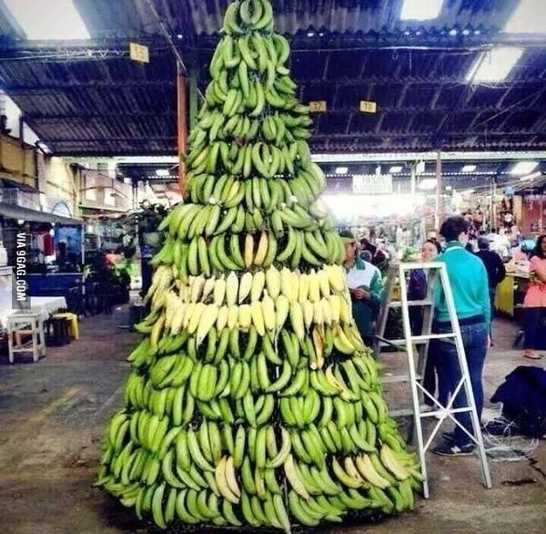 bananatree.jpg