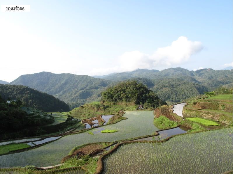 rice terraces,Luzon,Philippines,Banaue