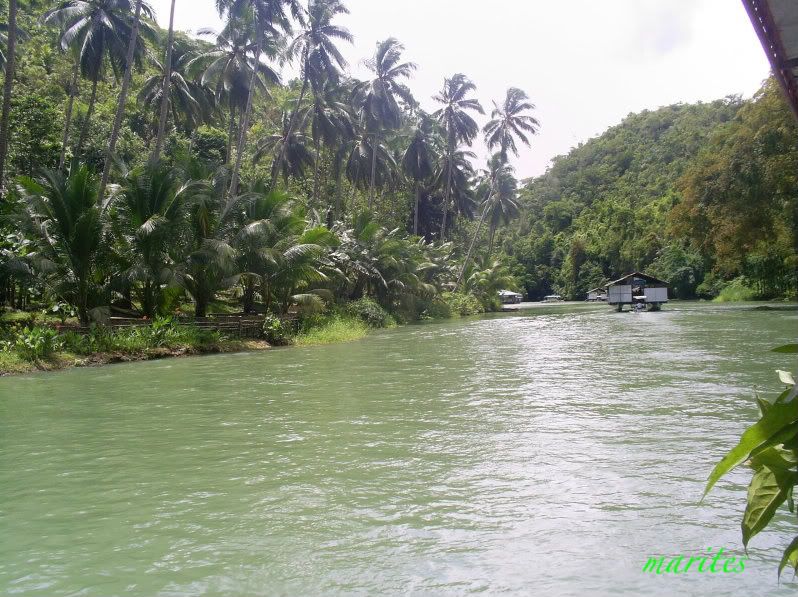 Loboc River,Bohol,Visayas,Philippines