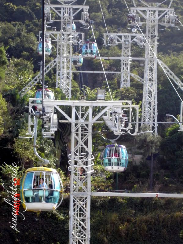 Ocean Park,cable car,Hongkong