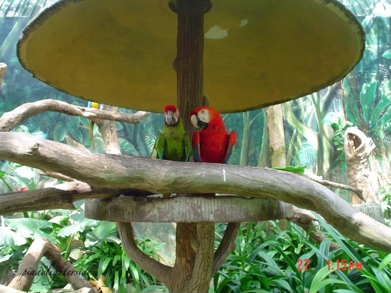 Jurong Bird Park,Singapore
