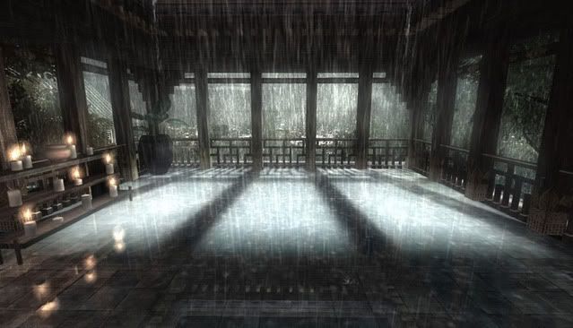 dojo.jpg