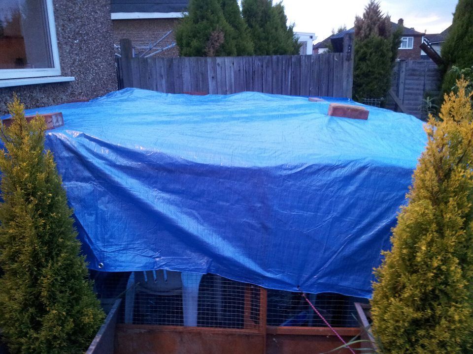 covering buns up at night Rabbits United