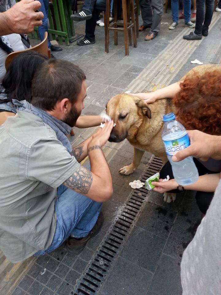  photo geziparki12.jpg