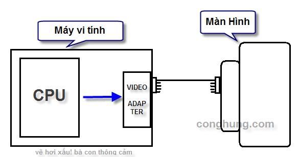 Được đăng ảnh