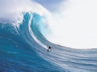 surfing-10.jpg