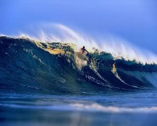 surfing-7.jpg
