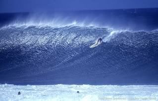 surfing.jpg