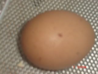 egg hatching 2 - chirpy