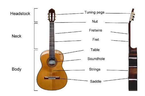 Acoustic Guitar Labelled
