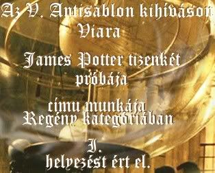 Antisablon kihívás, I. helyezett