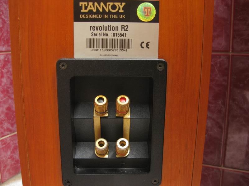 Tannoy Revolution R2