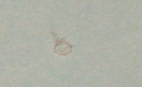 Bottle6.jpg