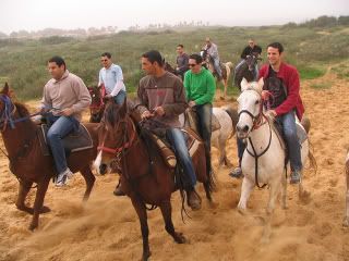 bachelor horseback riding