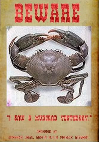 mudcrabdanger.jpg