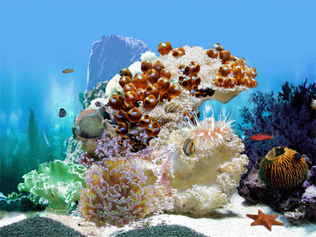 amazing_3d_aquarium.gif