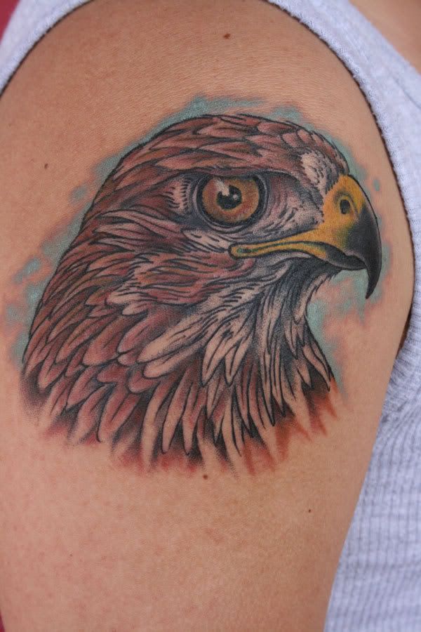 Hawk+Tattoo+by+Nick+Anderson 