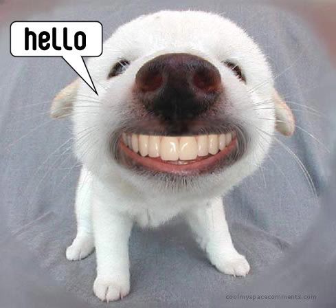 hello