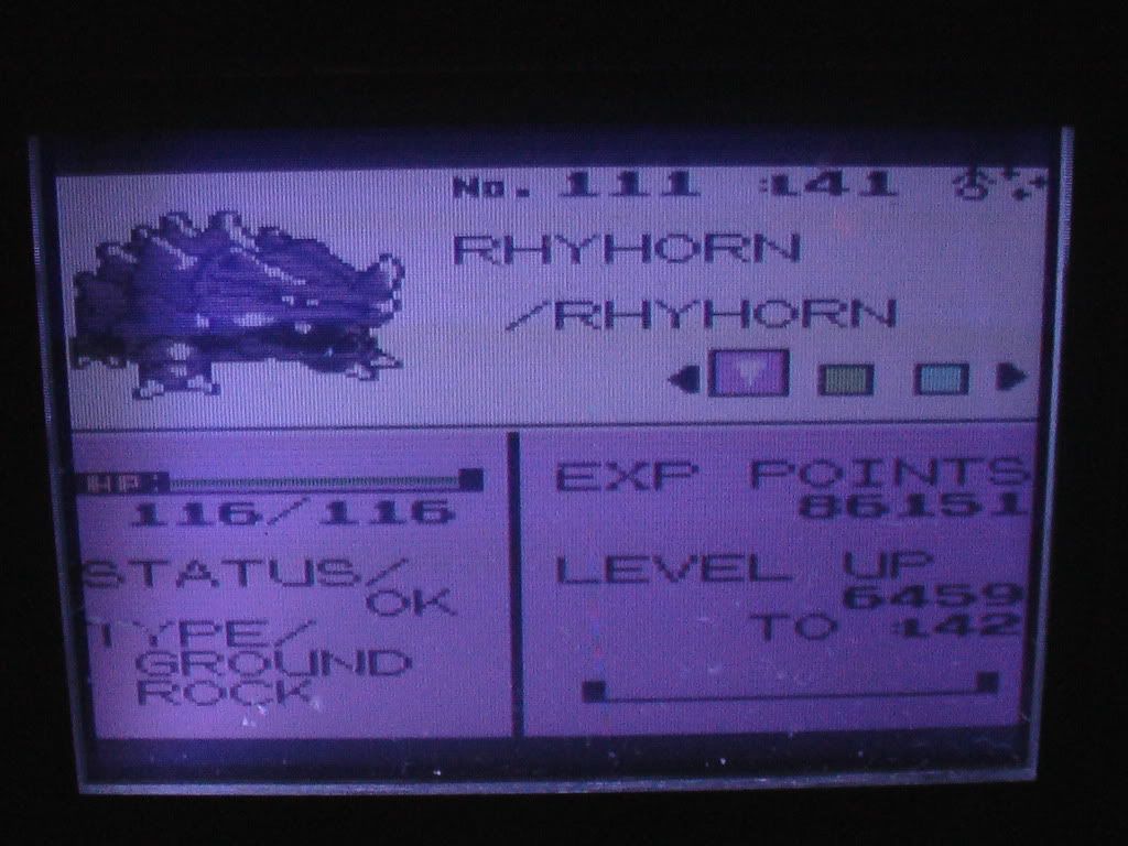 rhyhorn-1.jpg