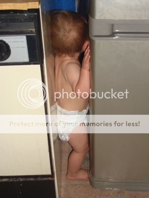 DSC03048-1.jpg?t=1256442281