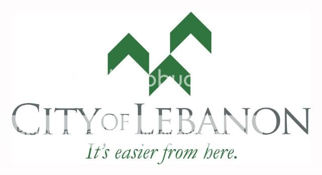 Lebanon_questionnaire Survey