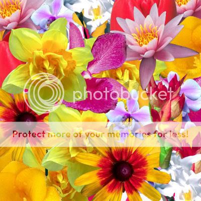 http://i290.photobucket.com/albums/ll266/unicorn234_photo/Flowers-2.jpg