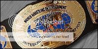 WWE_Intercontinental